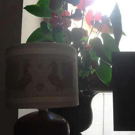 Pensionat Il Giardino Segreto